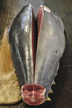 raw tuna body cut on the famous Tsukiji fish market in Tokyo