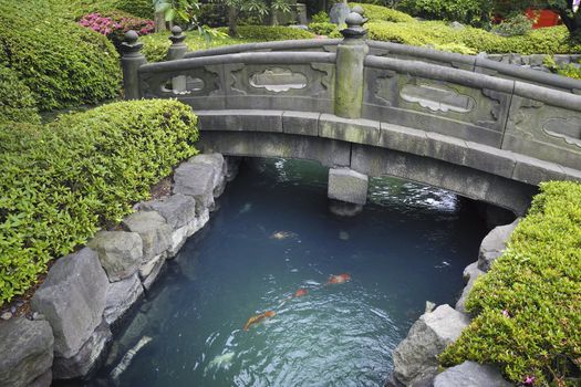 scenic stone bridge over blue water with red fishes in Japanese stone garden
