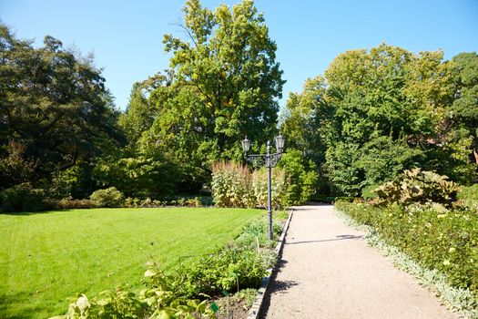 Public park in spring time