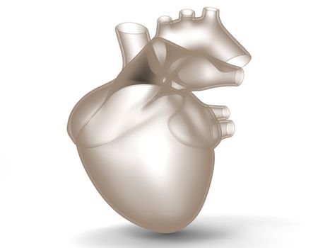 Model of artificial human heart