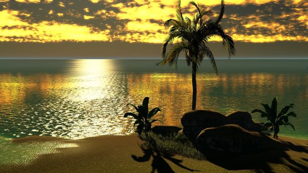 Hawaiian sunset in tropical paradise