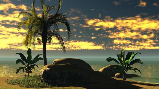 Hawaiian sunset in tropical paradise
