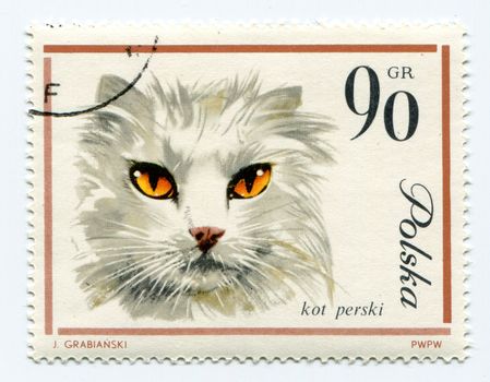 European cat on a vintage, canceled post stamp from Poland