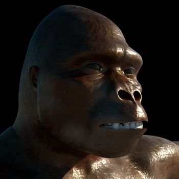 Neanderthal prehistoric man