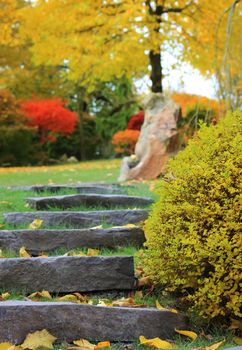 Stone stairs in a autumn japanese style garden 