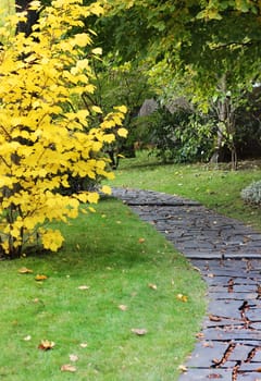 Paved path and tree in a autumn japanese style garden