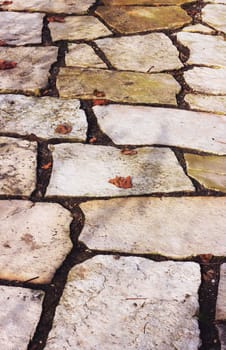 Path paved with a natural stone in a autumn garden