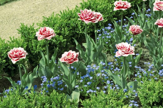 Geometrical bed with pink and blue flowers and grass 