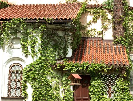 A front of a European ivied house with tile in a spring time