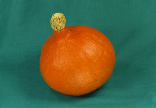 Still life of pumpkin on a green fabric background