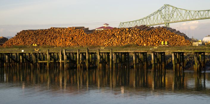 Logs stacked on a pier waiting for loading