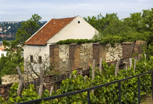 View of an old house in Prague. Czech Republic