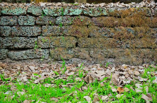 Texture of rough brick wall with grass