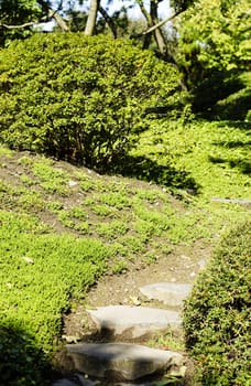 Stoned stairs in a summer japanese style garden