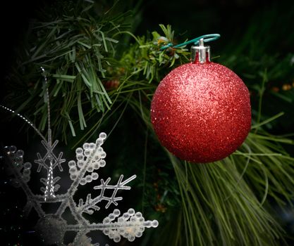 Christmas tree with ornament, Christmas concept