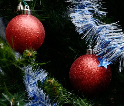 Red christmas ball hanging on christmas tree, Christmas concept