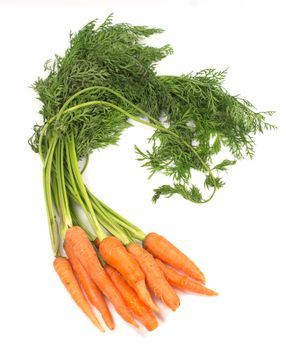 Bunch of carrots on white background