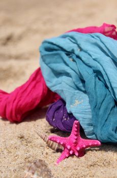 Funny starfishes on the beach 
