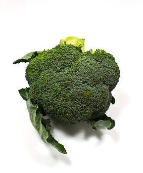 Broccoli on White Background