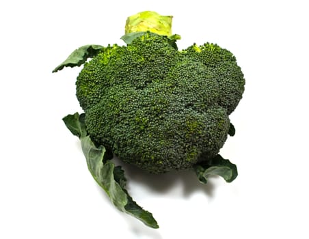 Broccoli on White Background