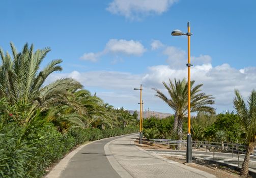 Road, palm trees and blue sky, Costa Calma, Fuerteventura, Spain