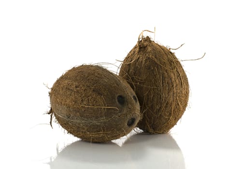 coconut with white background