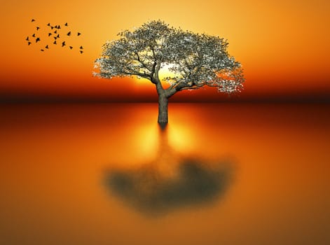 a tree with a sunrise in the background