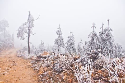 snow on rodadafter great snow at chinese south pro Guangdong