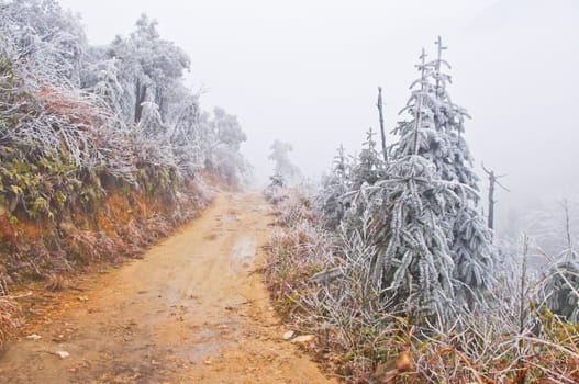 snow on rodadafter great snow at chinese south pro Guangdong