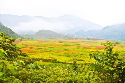 Beautiful farmland of southwest chinese pro Guangdong