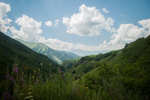 Caucasian Mountains in South Ossetia in summer