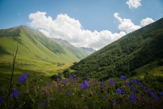 Caucasian Mountains in South Ossetia in summer