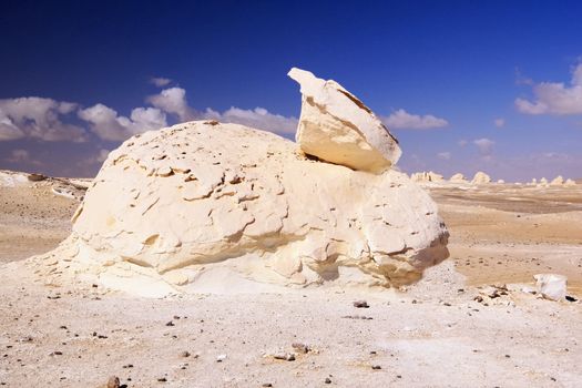 The rock formation like as rabbit in White desert,Egypt