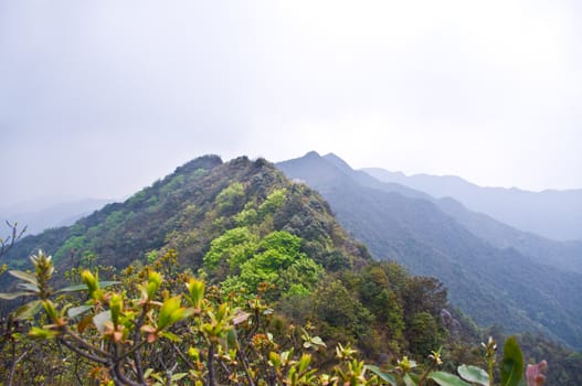 viewing the nailing ridge of china at summer