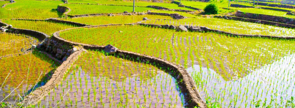 Beautiful farmland of southwest chinese pro Guangdong