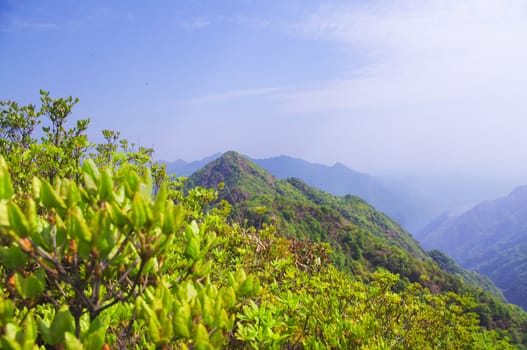 viewing the nailing ridge of china at summer