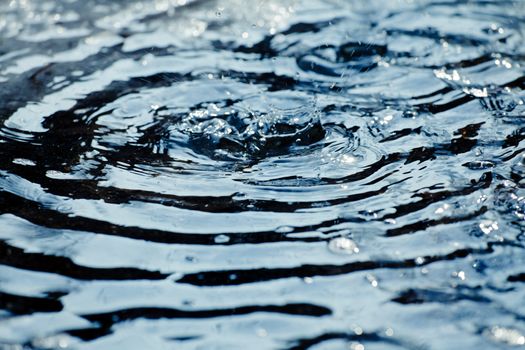 Water drop making a ripple on the surface