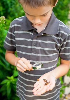 Young boy looking at snails thru hand magnifier, focus on snails