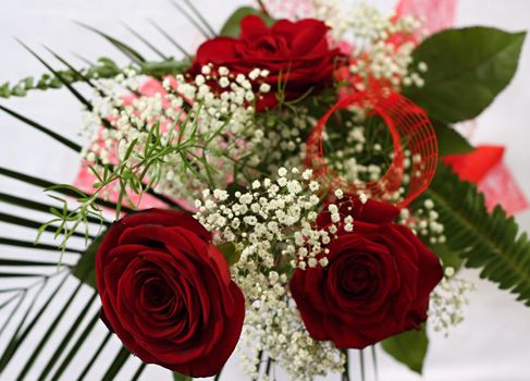Red roses and little whitte flowers with green leafs