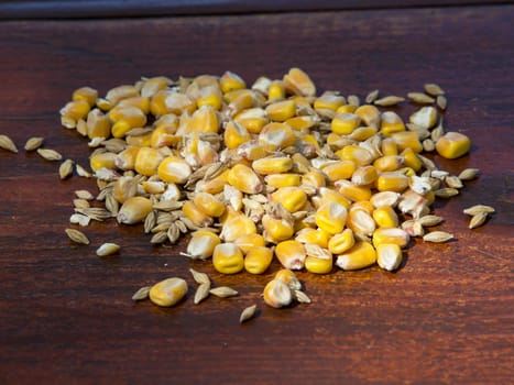 maize and other seeds on the wooden table