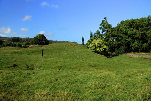 Open field of green pasture with deep blue skies in the background. Somehwere on The Road to Hana on the Hawaiian Island of Maui