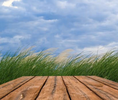 grass and cloudy sky