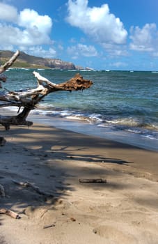 Rugged Hawaiian coastline with beautiful clouds and driftwood at Waihee Beach Park, Maui, Hawaii