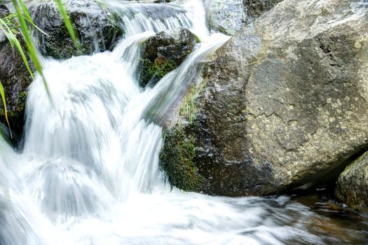 Beautiful slow moving stream located in the Iao Valley National Park in Maui, Hawaii