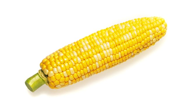 Fresh raw corn cob isolated on the white