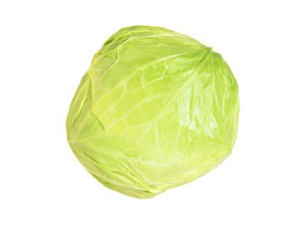 cabbage