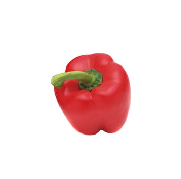 Bell pepper (bulgarian pepper) isolated on white
