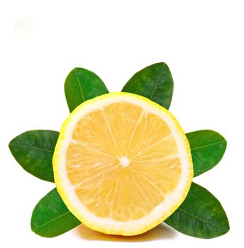 Fresh lemon on White ground