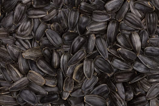 sunflower seeds background