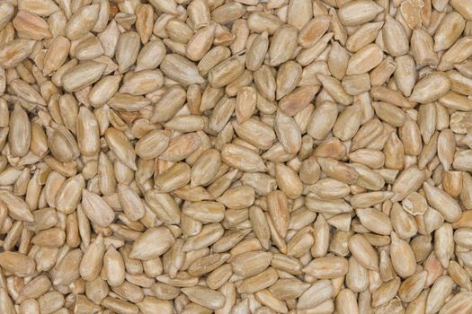 Sunflower Seeds Texture As Background.